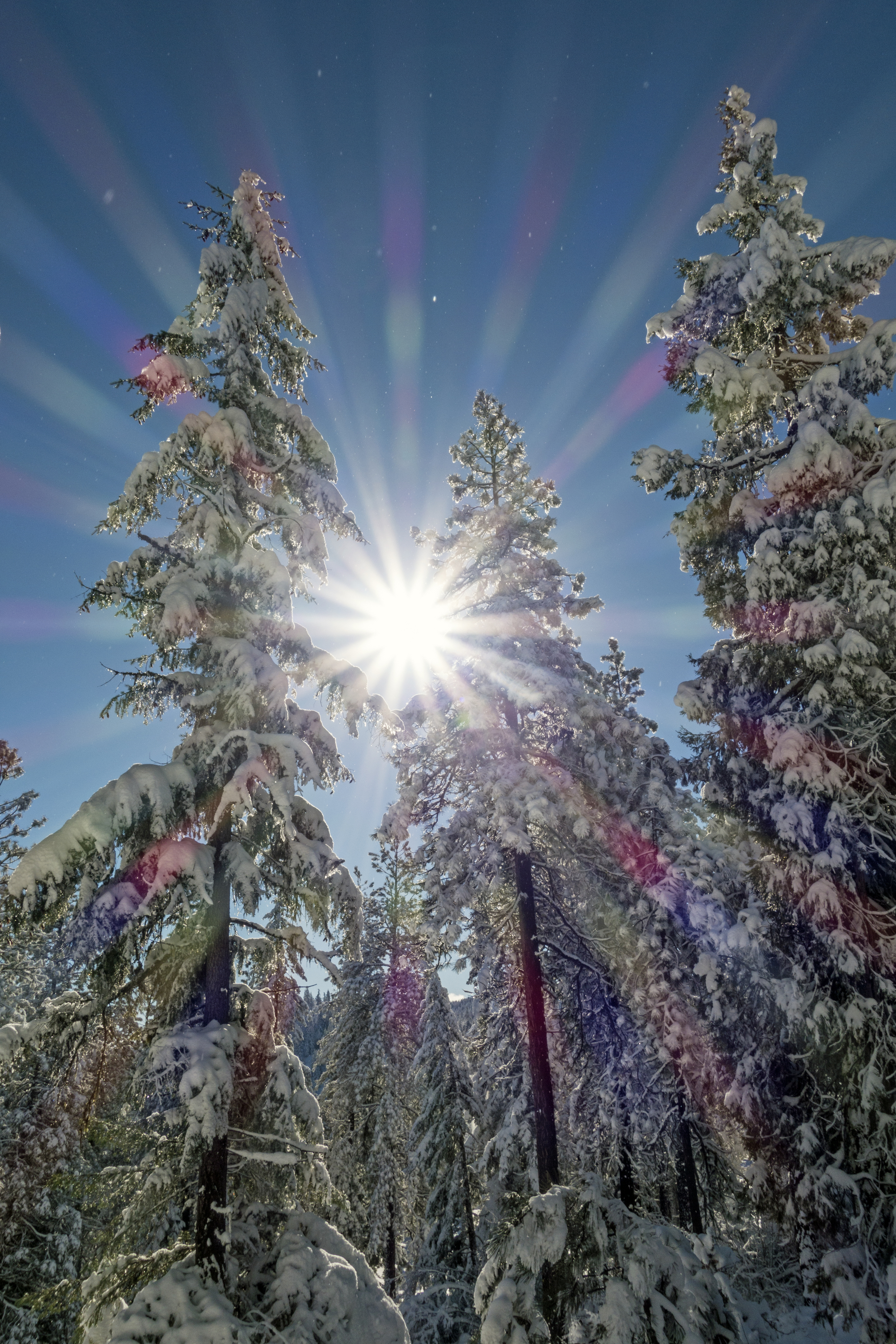 Photo by Sam Camp/iStock/Getty Images