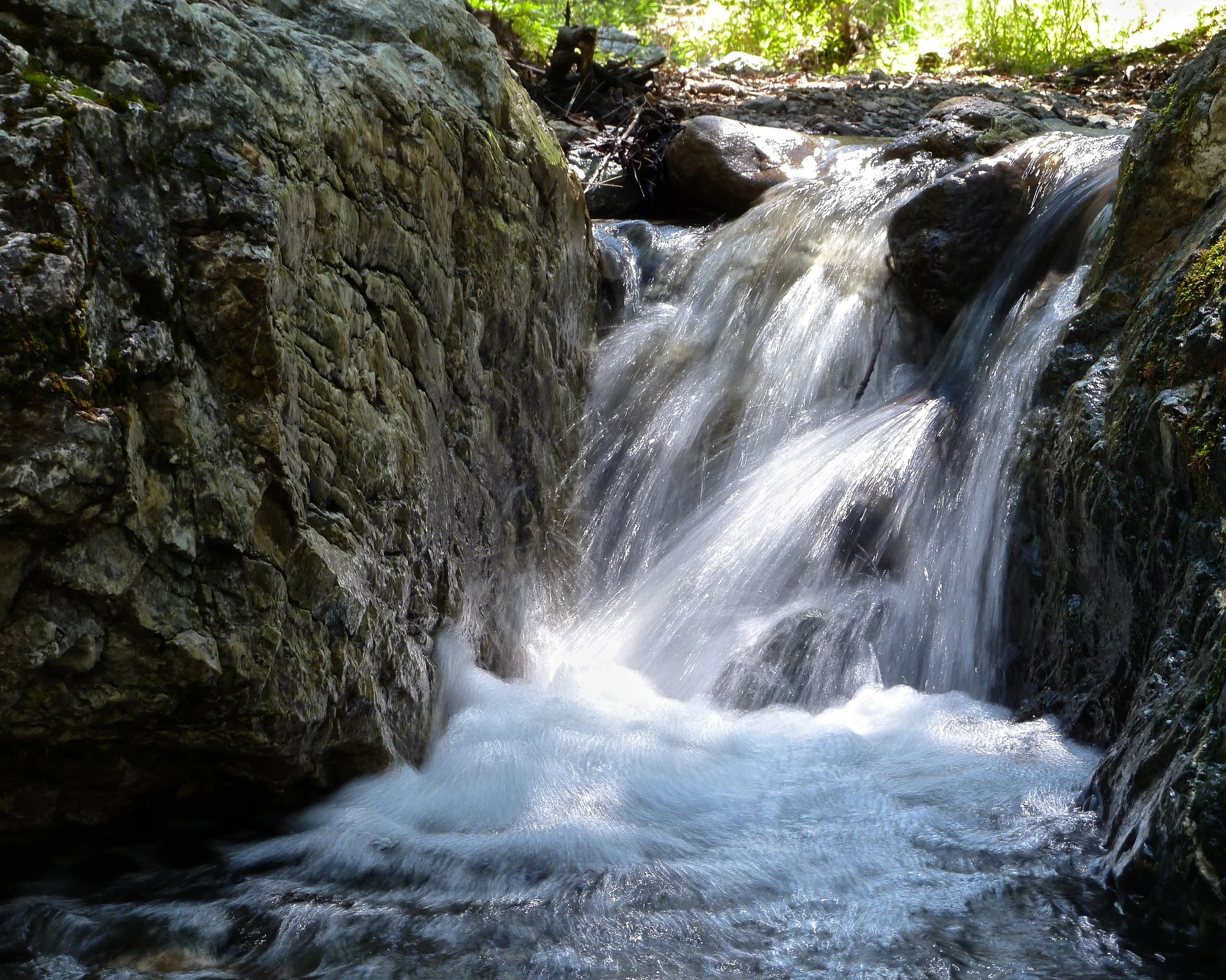 Donner Creek, Mt. Diablo.