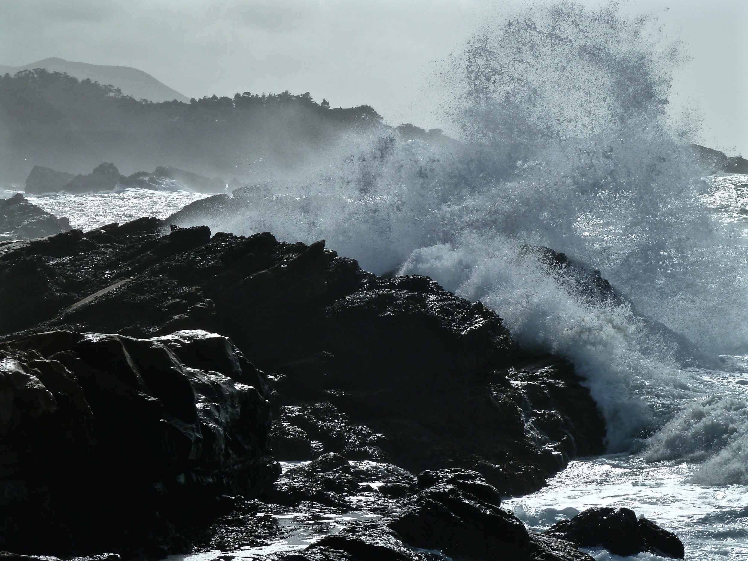 A breaker smashes against the rocks at Sand Hill Cove, Point Lobos.