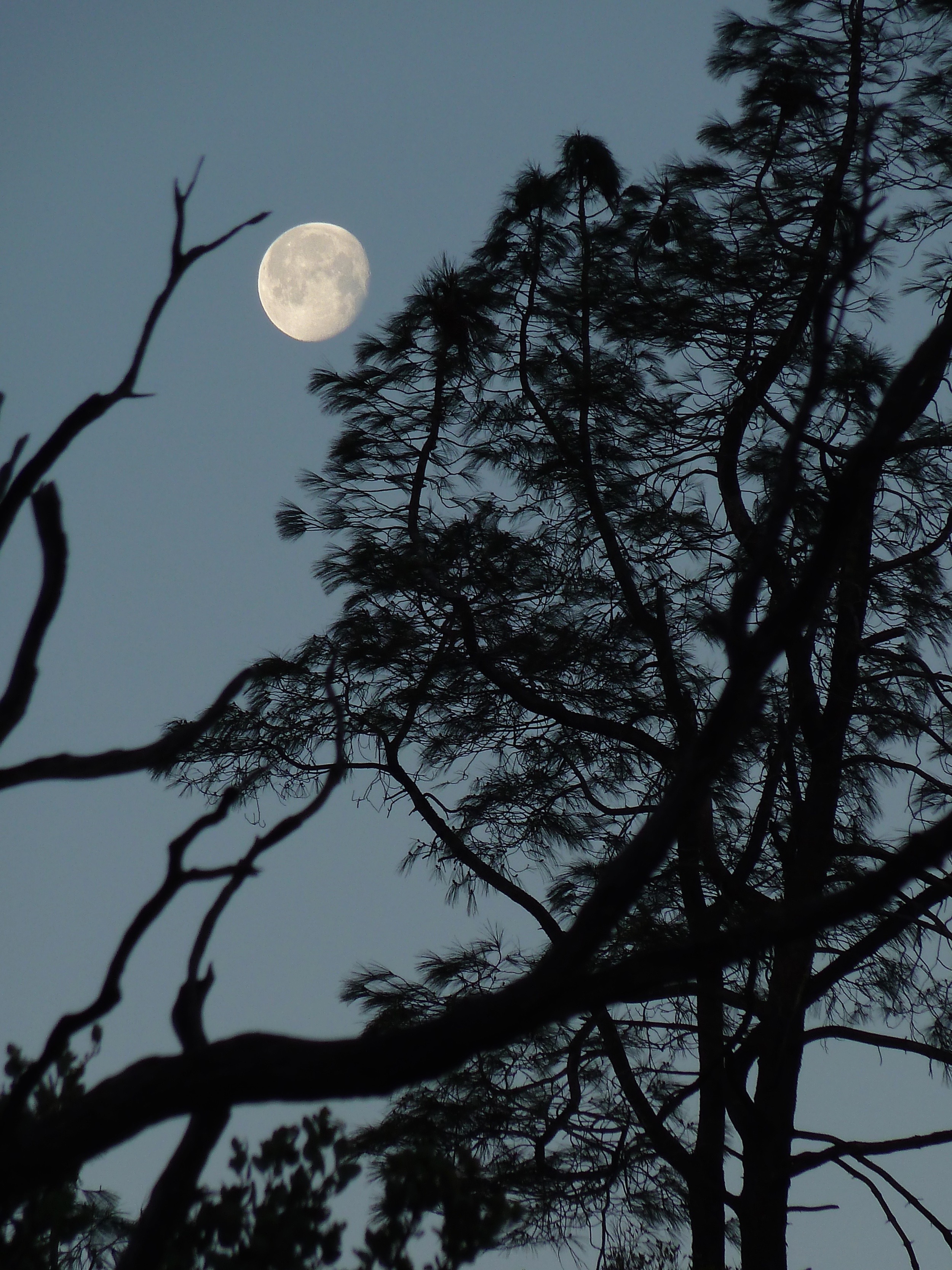 Moonset over Murchio Gap.