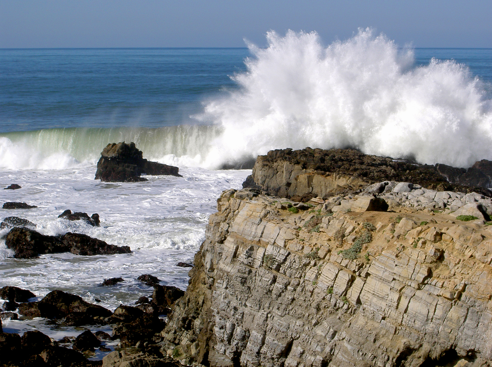 Pescadero State Beach.