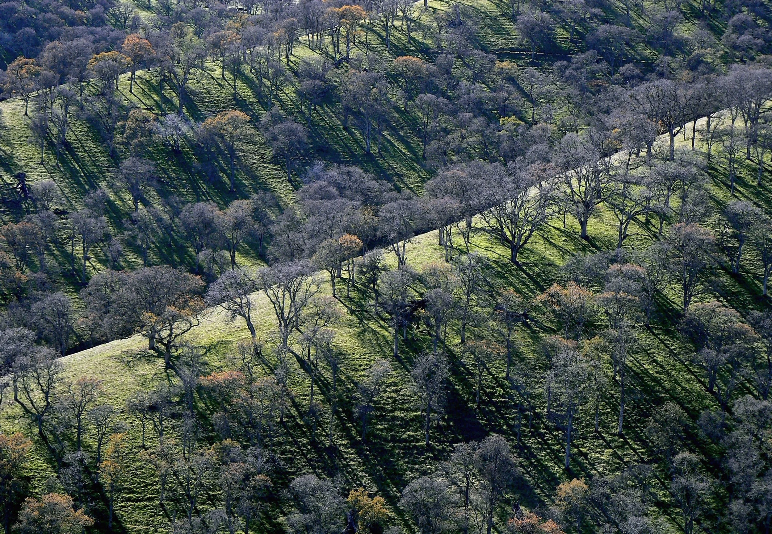The spurs of Hardy Canyon in winter.