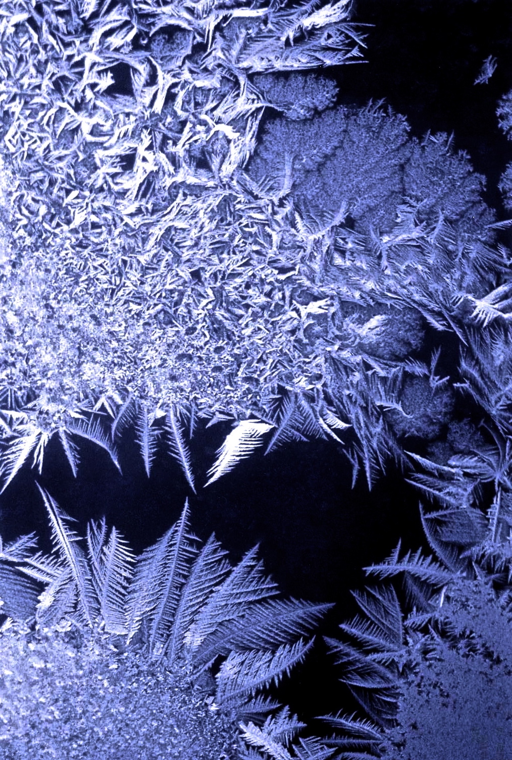 Frost on windowpane. Chicago, January 1994.