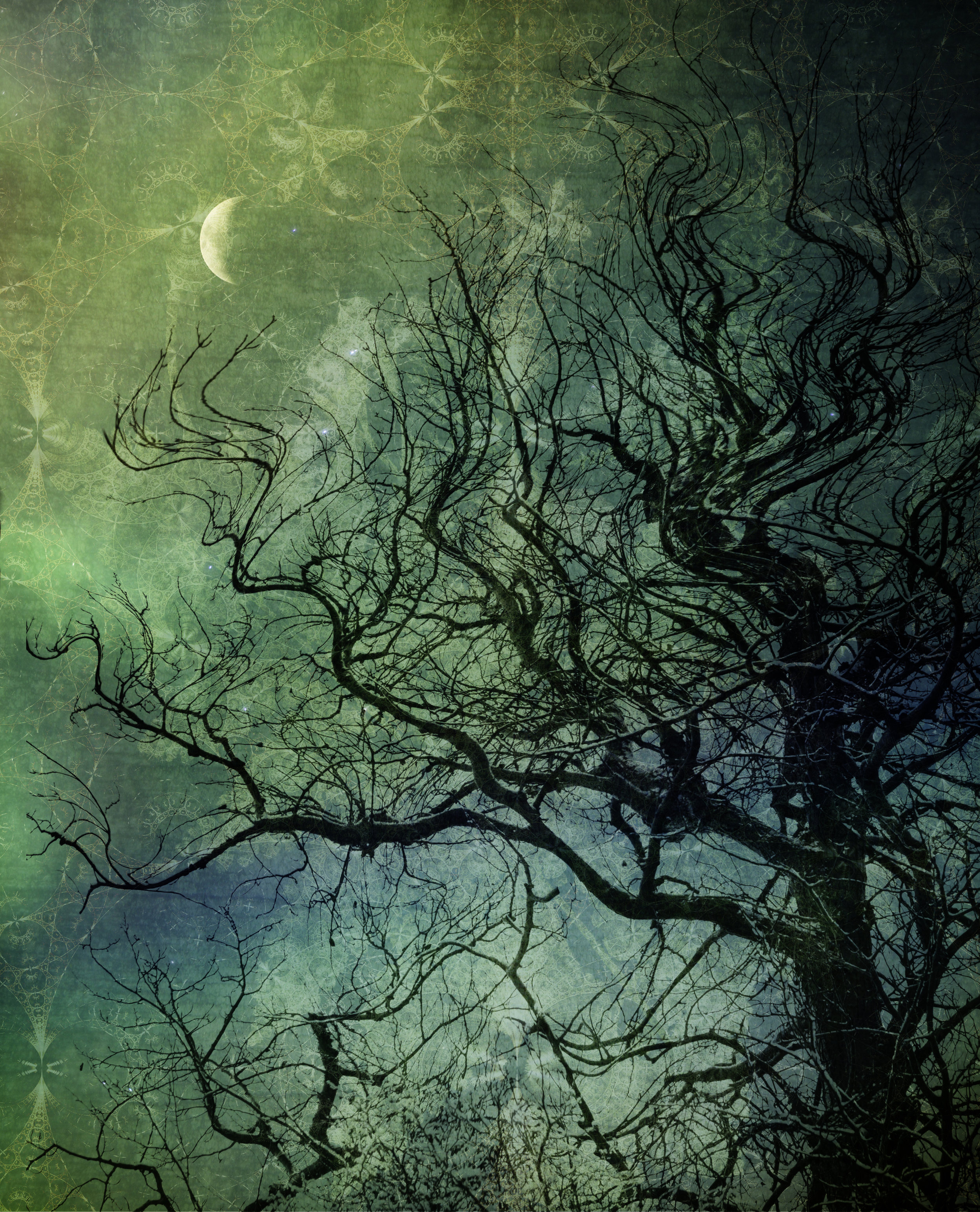Photo by mscornelius/iStock/Getty Images
