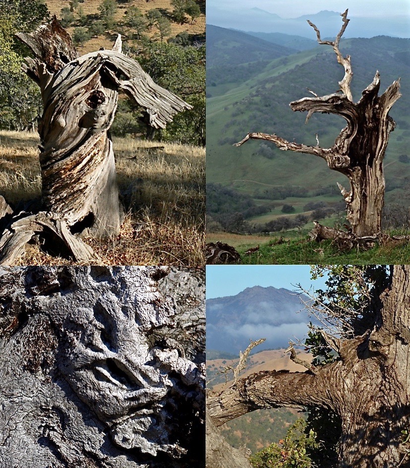 A quartet of my gnarly friends, clockwise from upper left: Knight, Alien, Oliphaunt and Samurai.