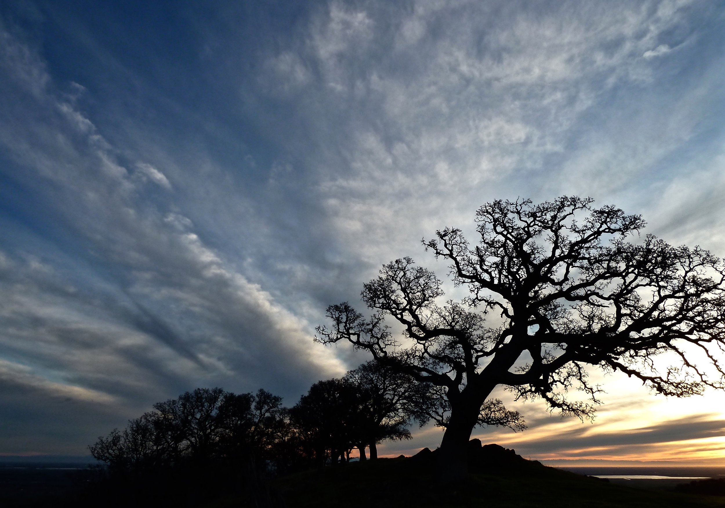 Old One greets the winter sunrise atop Round Valley Regional Preserve.