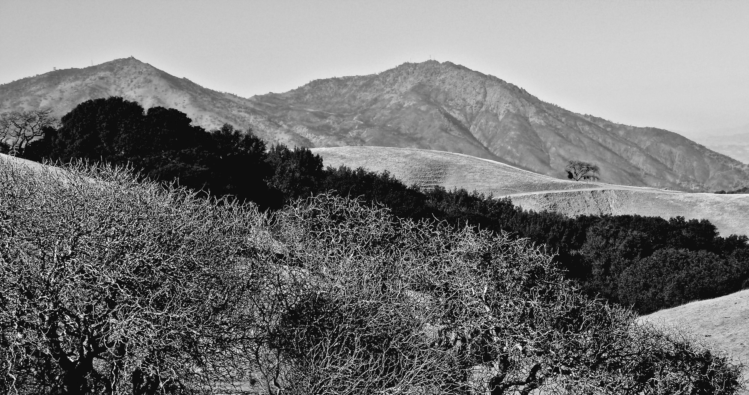 The view from Morgan Territory Regional Preserve.