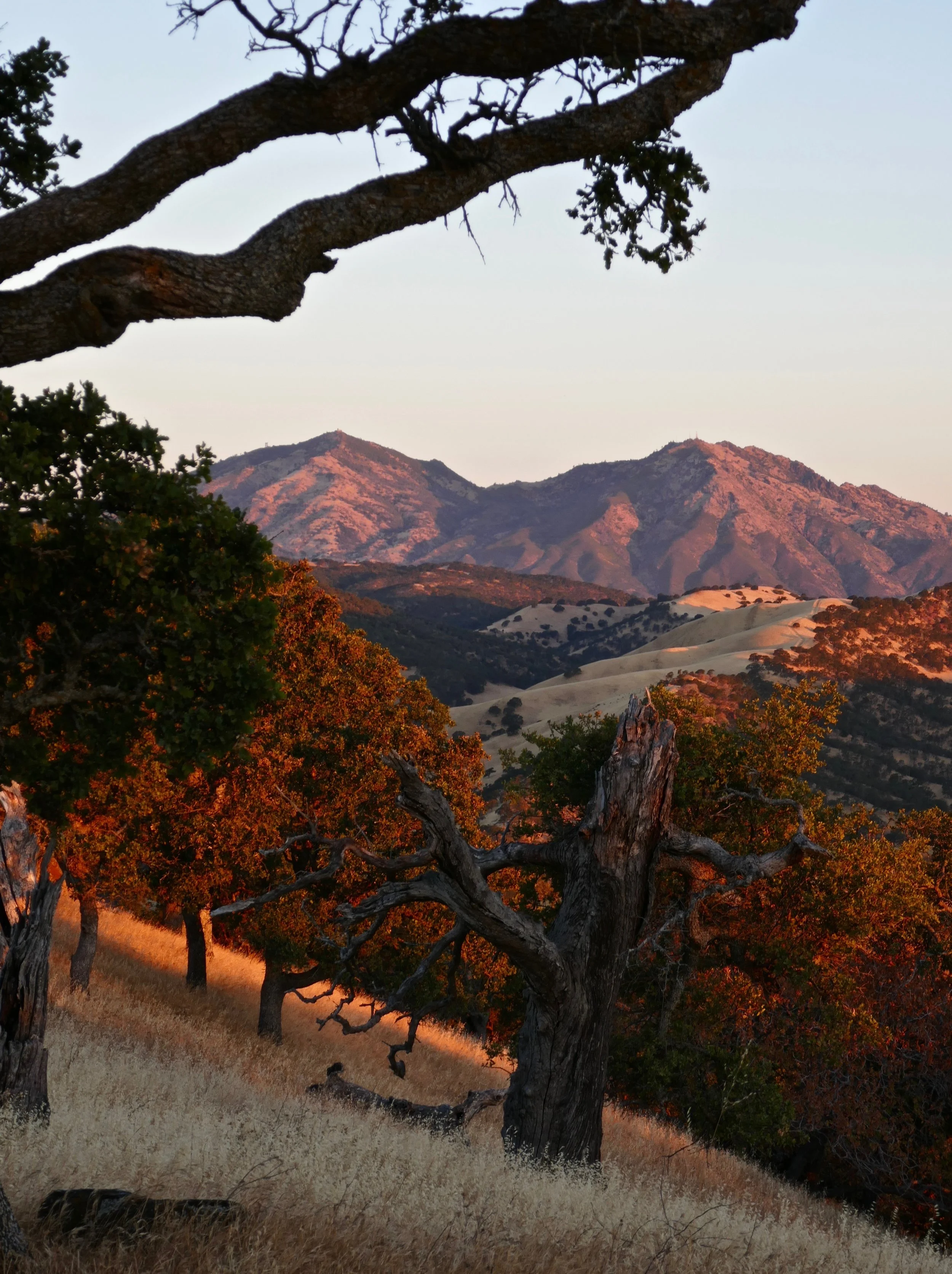 The light of solstice sunrise strikes Mt. Diablo and its foothills. June 21, 2018.
