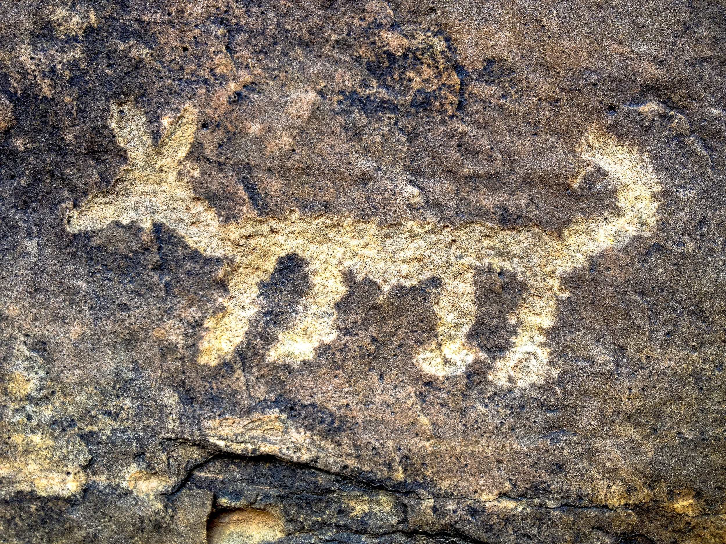 Coyote pictograph by CampPhoto/iStock/Getty Images
