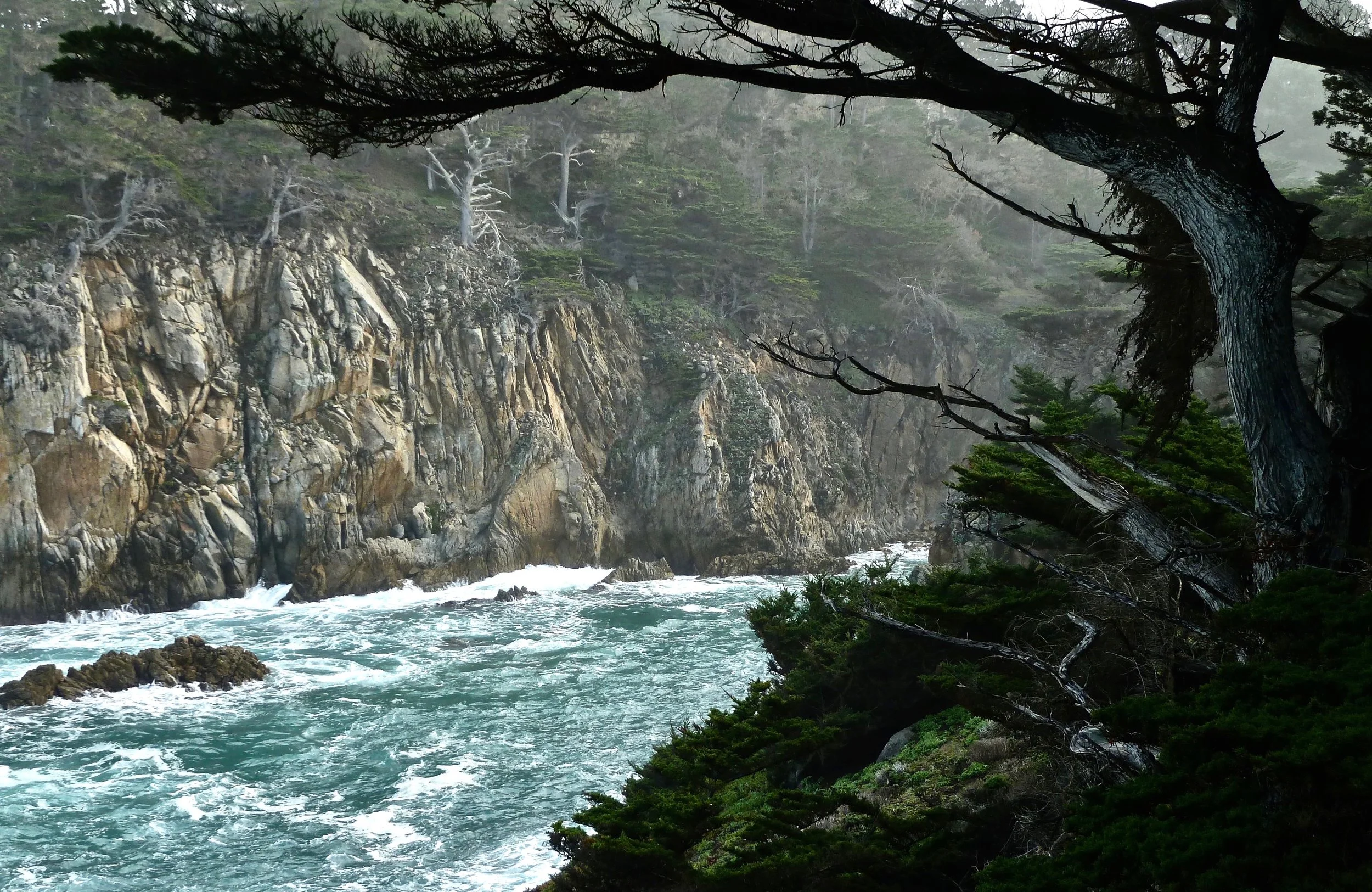 Cypress Cove, Point Lobos.