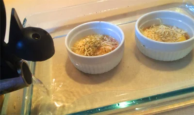 eggs6