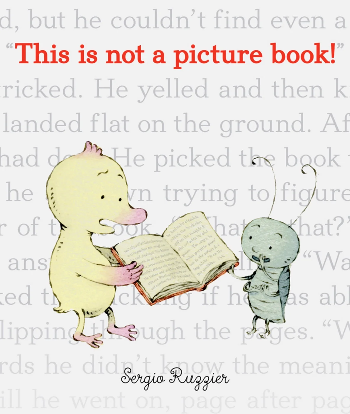 This Is Not a Picture Book , by Sergio Ruzzier