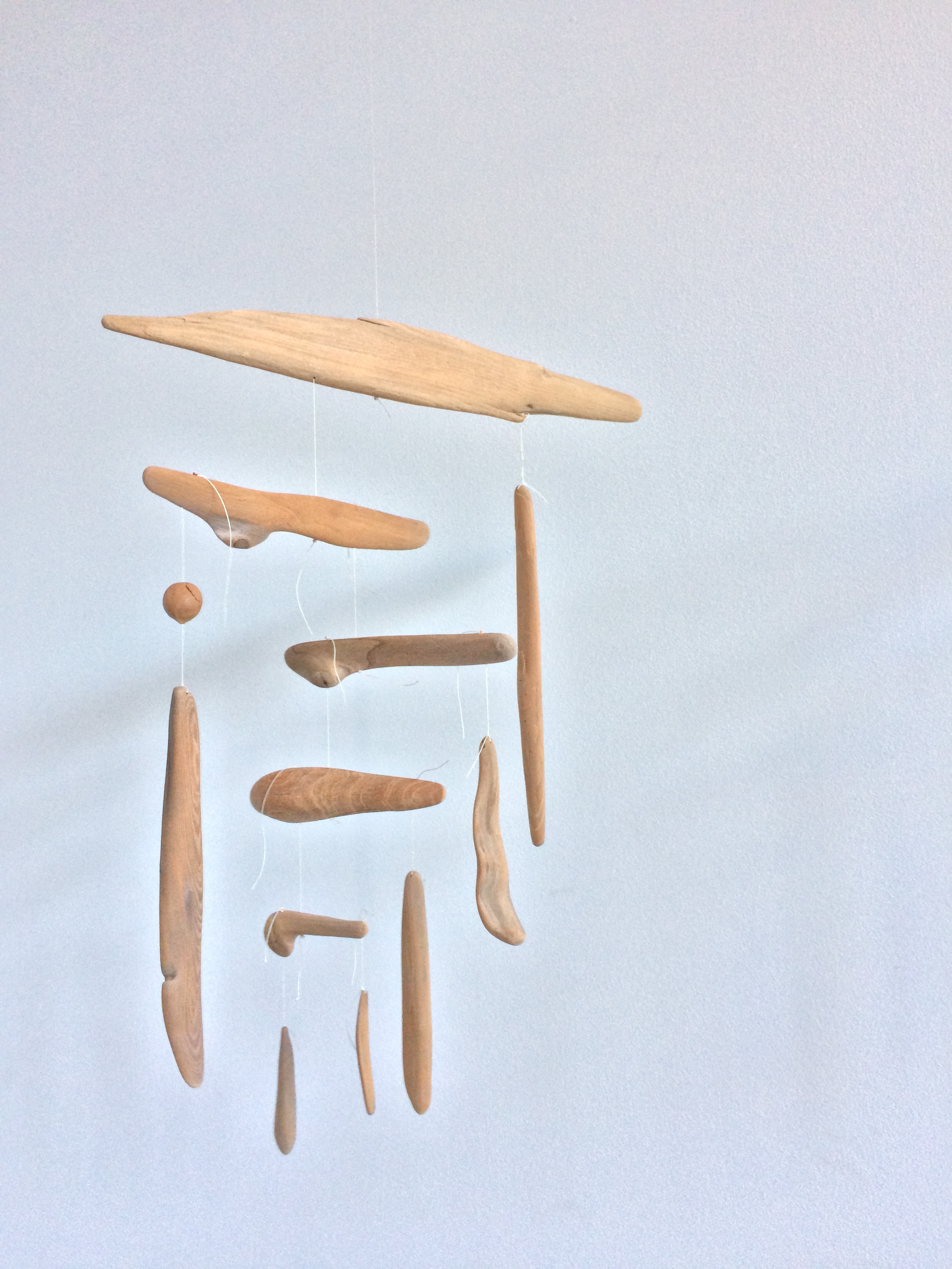 Blonde Driftwood © Ruth Kneass