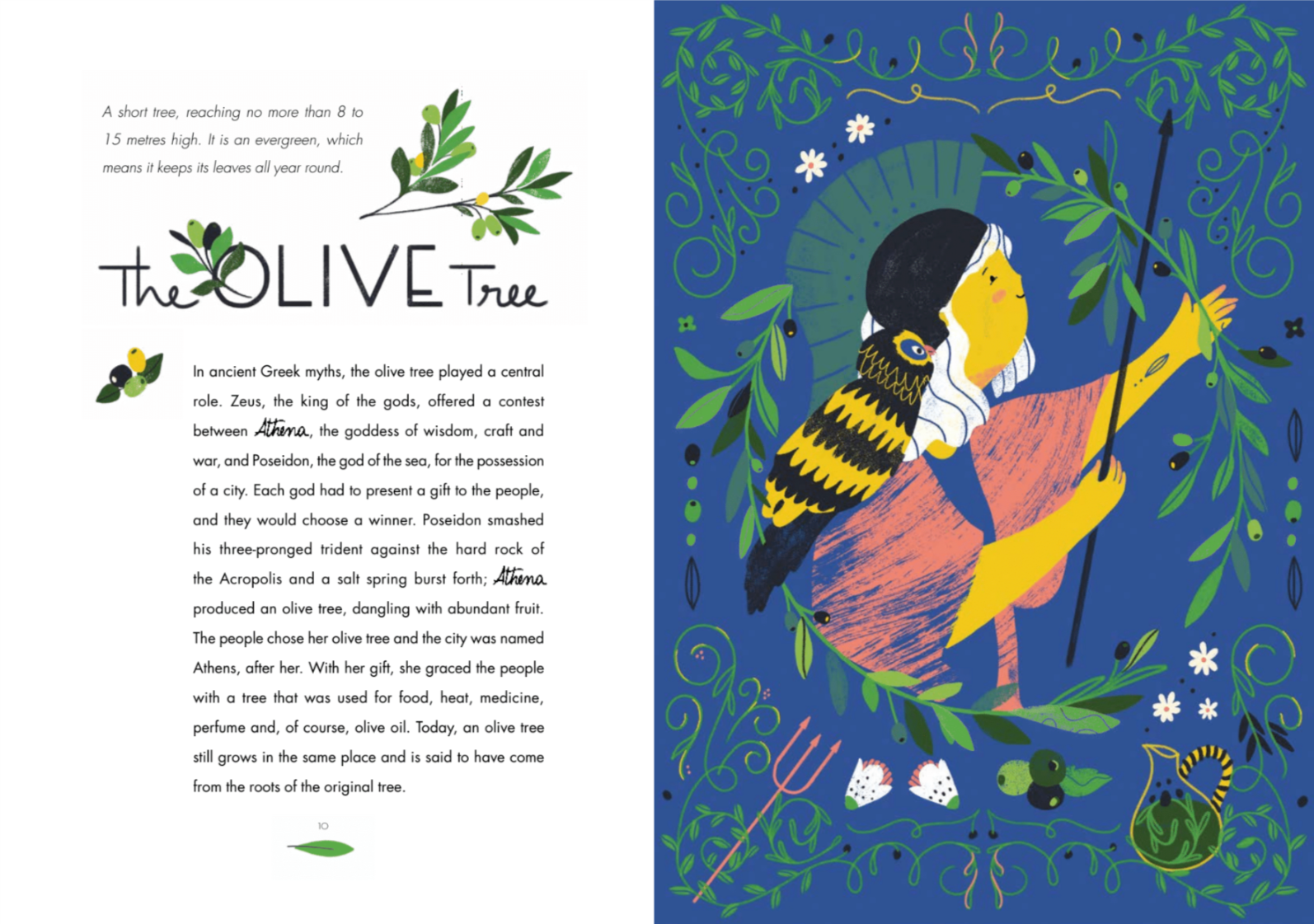 Under the Canopy by Iris Volant and illustrated by Cynthia Alonso