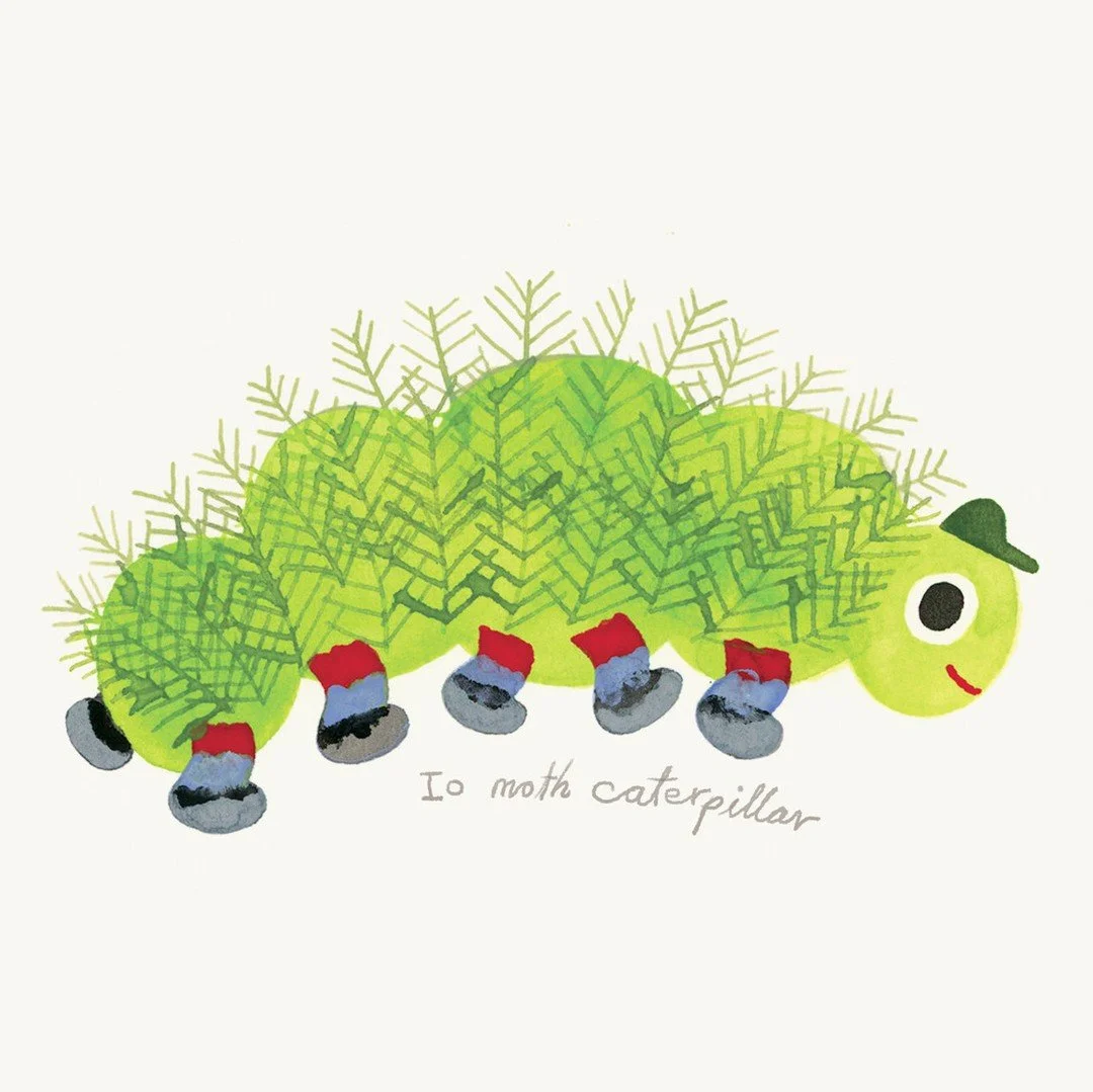 In Issue 28: BUGS, play a bug caption game with artwork by Weng Pixin @pixmadeobjects! 🐛 Which critter said what?! 💬 Play along with us. Grab your copy via link in bio.