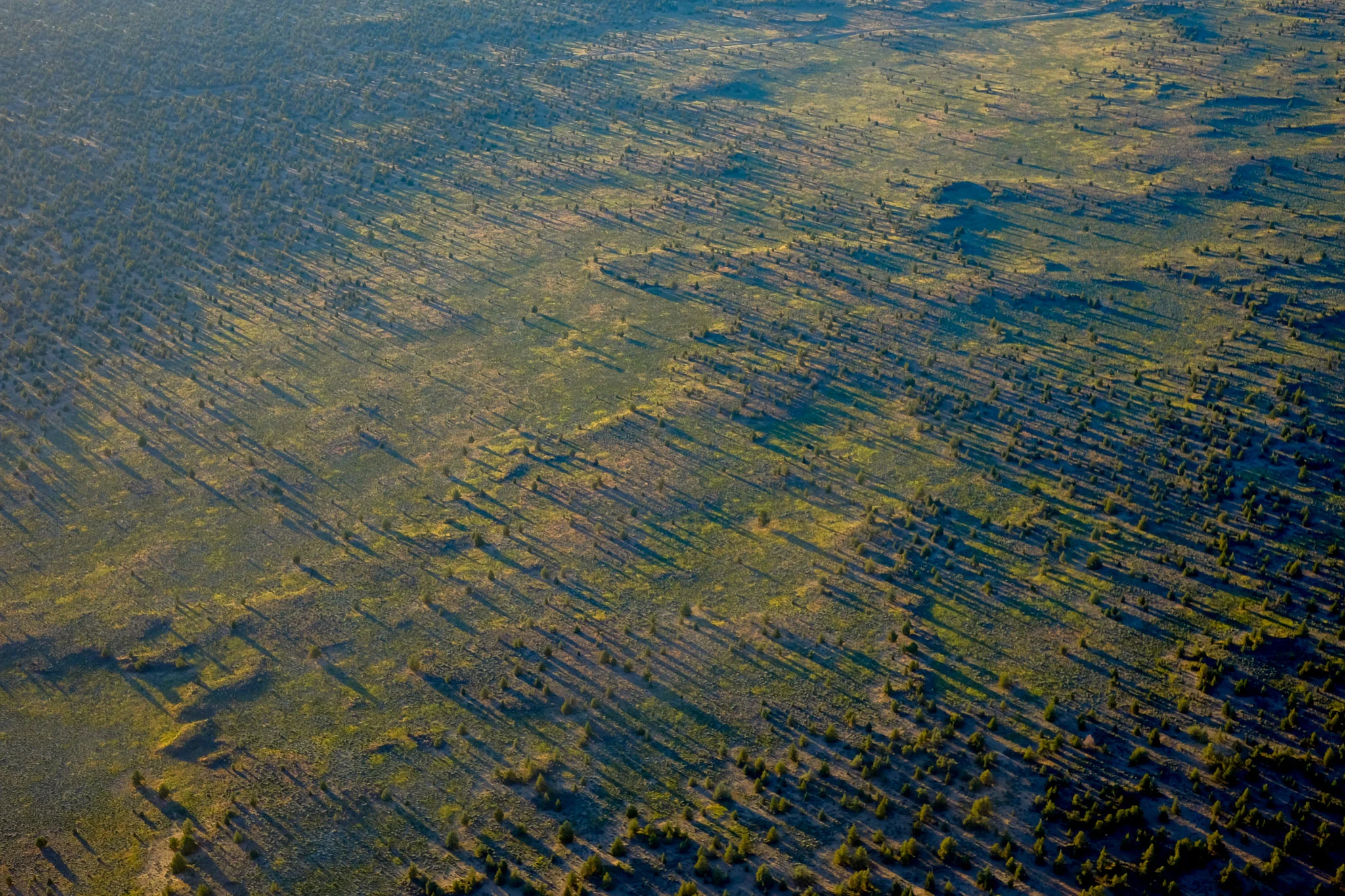 The sagebrush of central Oregon casts a long shadow when the sun is low in the sky.