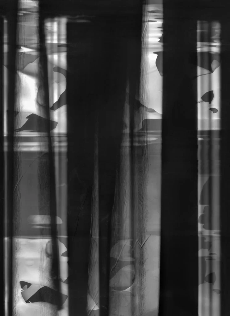GLIMPSE 1416.jpg