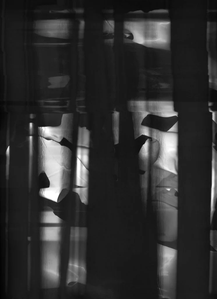 GLIMPSE 116.jpg