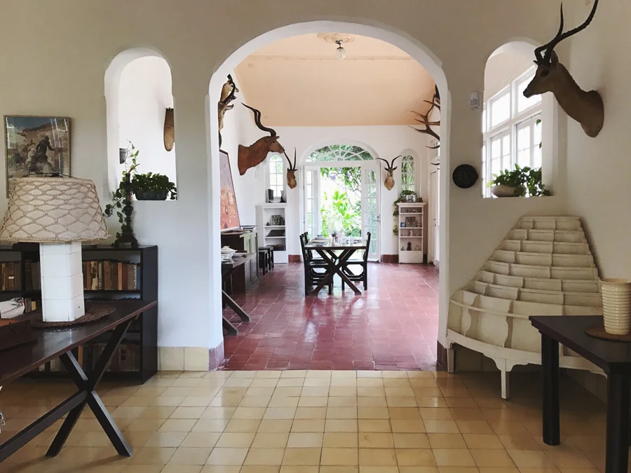 looking through Hemingway's home