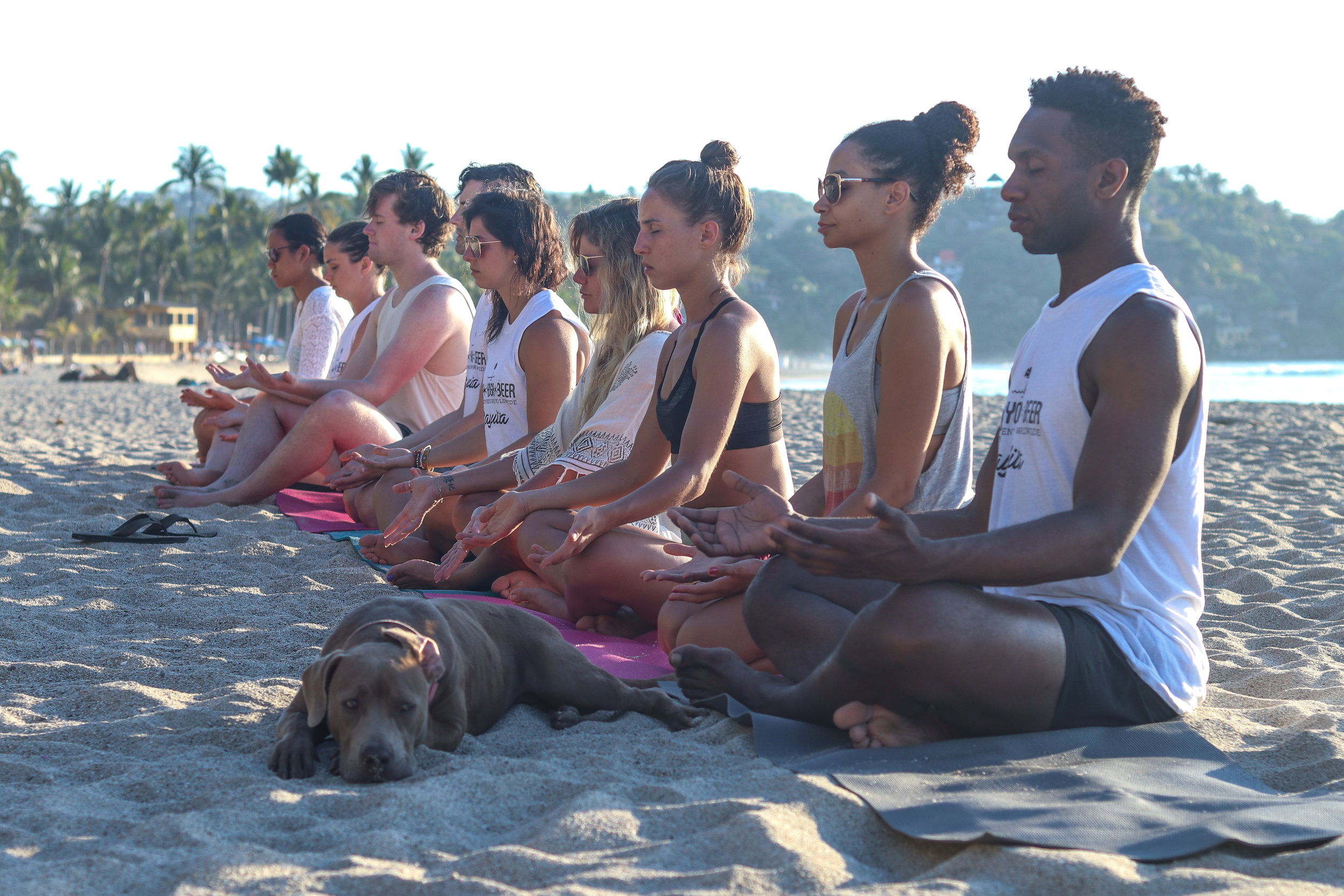 Meditation on the beach with our friend Buddha the pup!