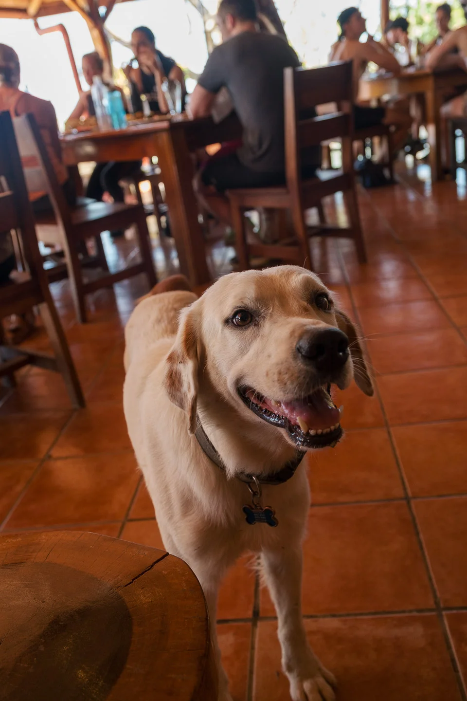 181230_SYB_Costa_Rica_DSF0730.jpg