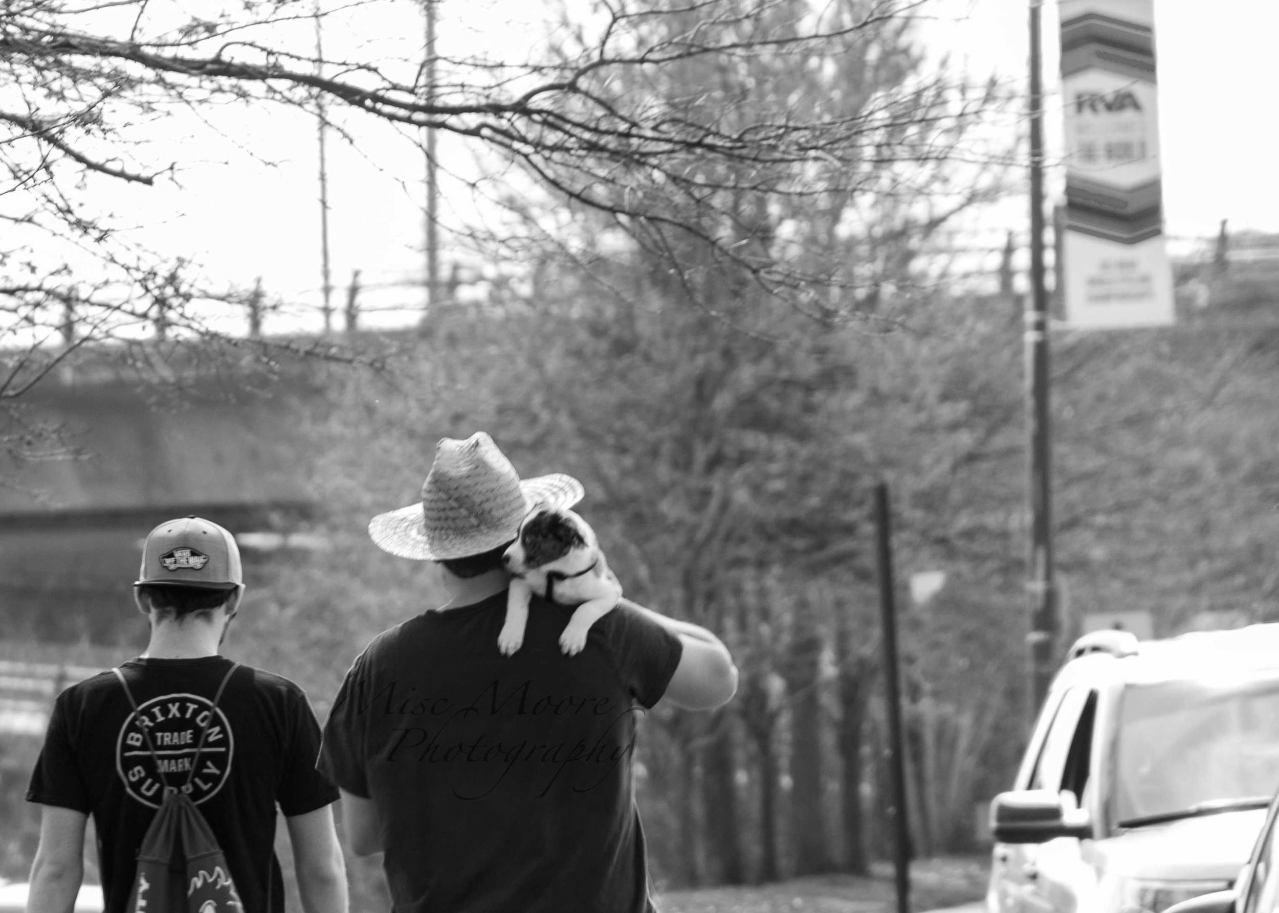 two-guys-a-hat-and-a-puppy.jpg