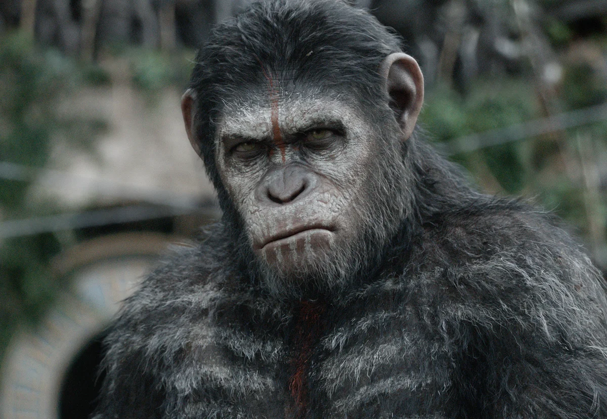 Dawn of the Planet of the Apes