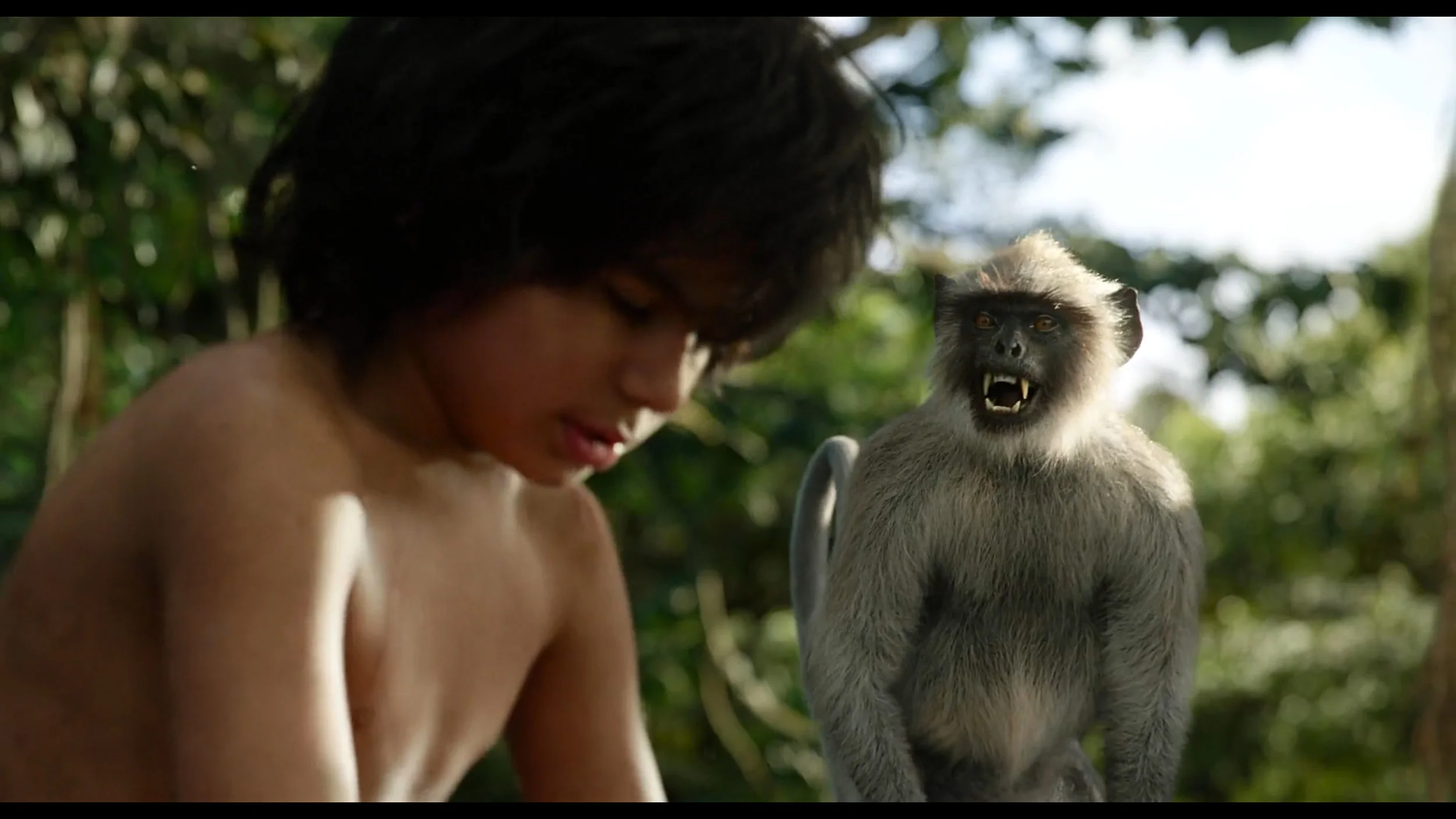 The Jungle book