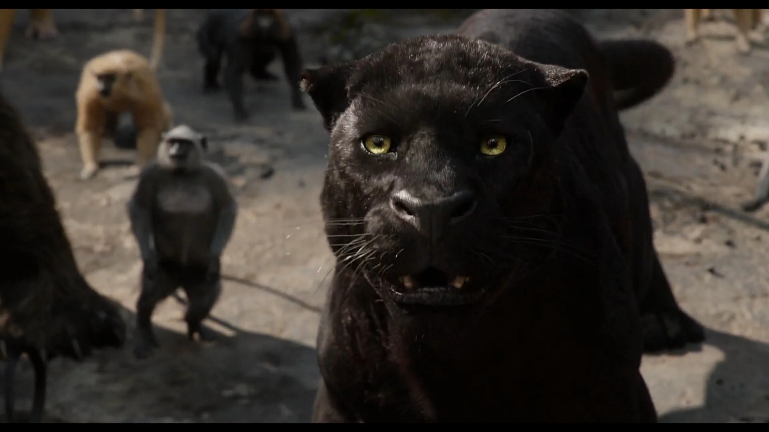 The Jungle book