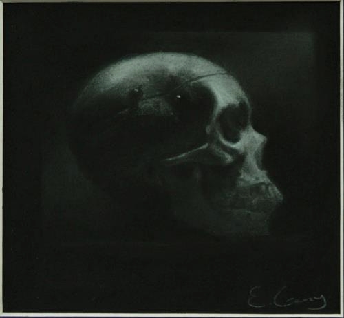 The Skull