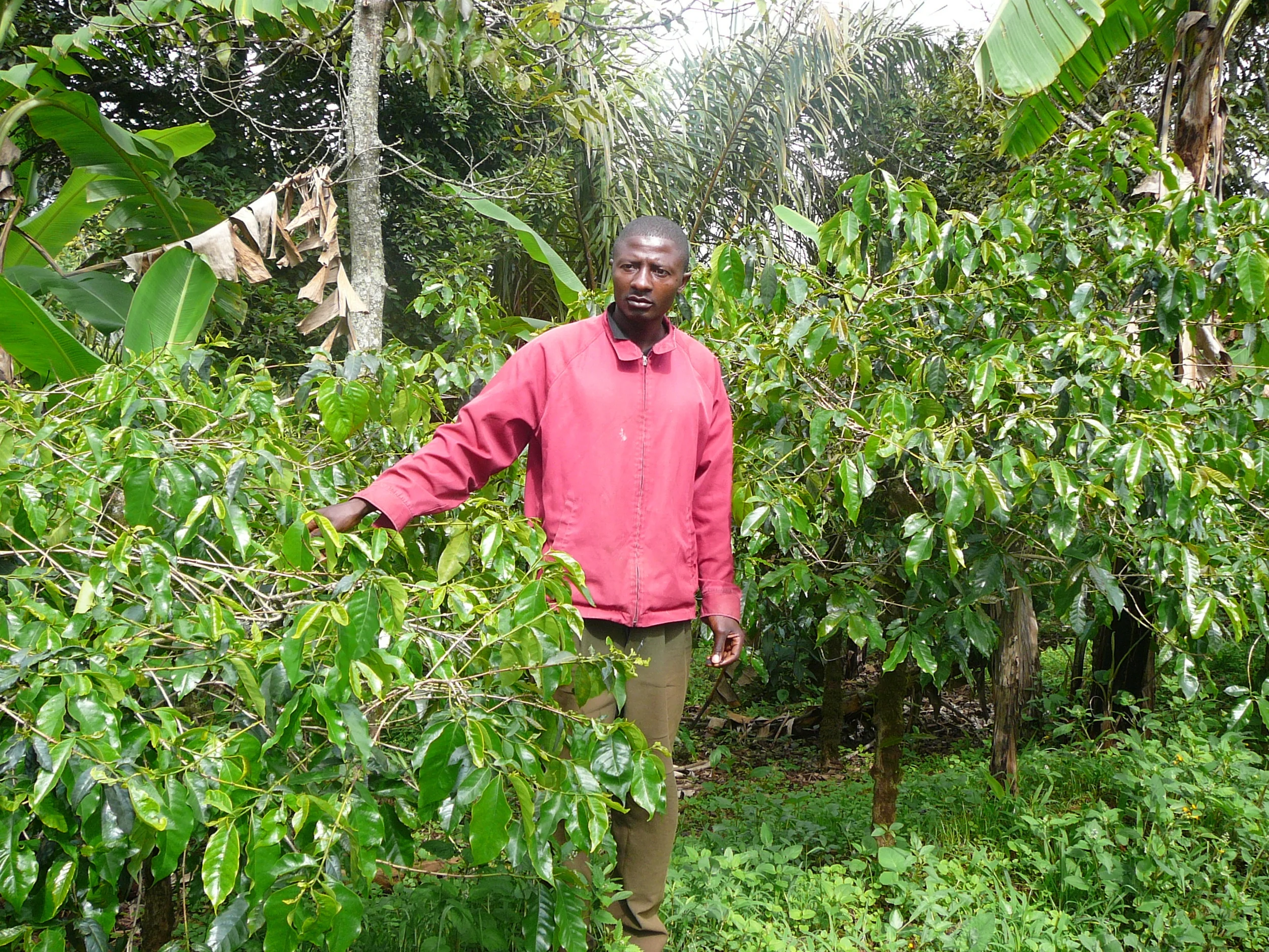 Cameroon Aug 07 032.jpg