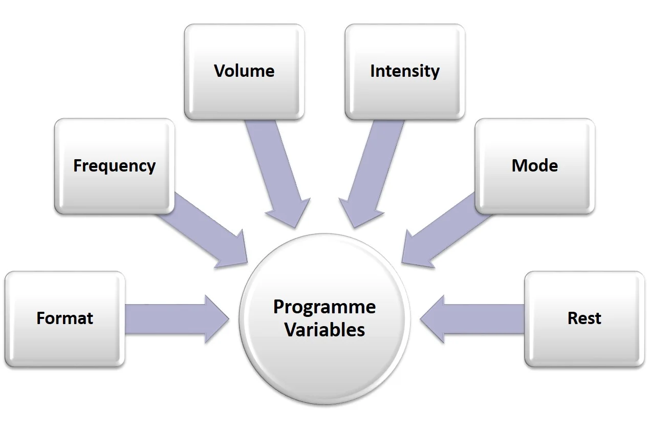 Programming Variables.jpg