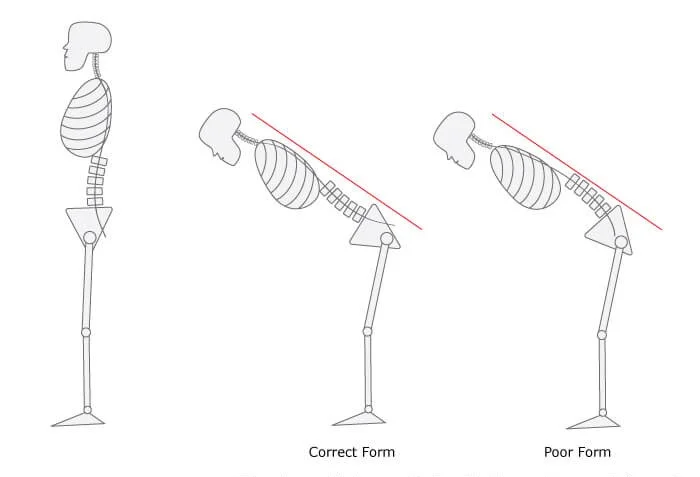 Informed Shorts: Is 'Hip Hinge' Really a Fundamental Movement?