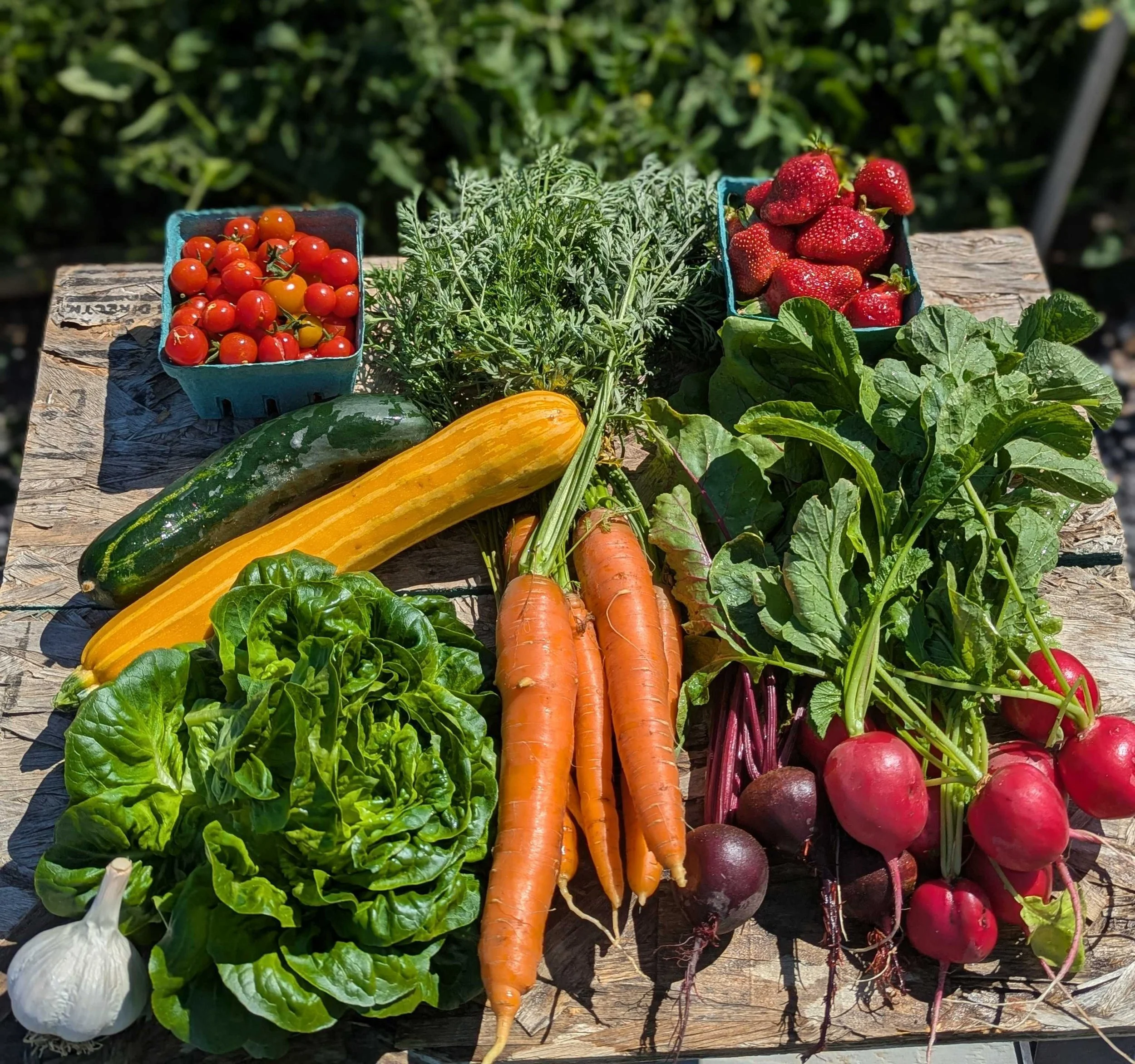 a variety of vegetables harvested from around the bend farms