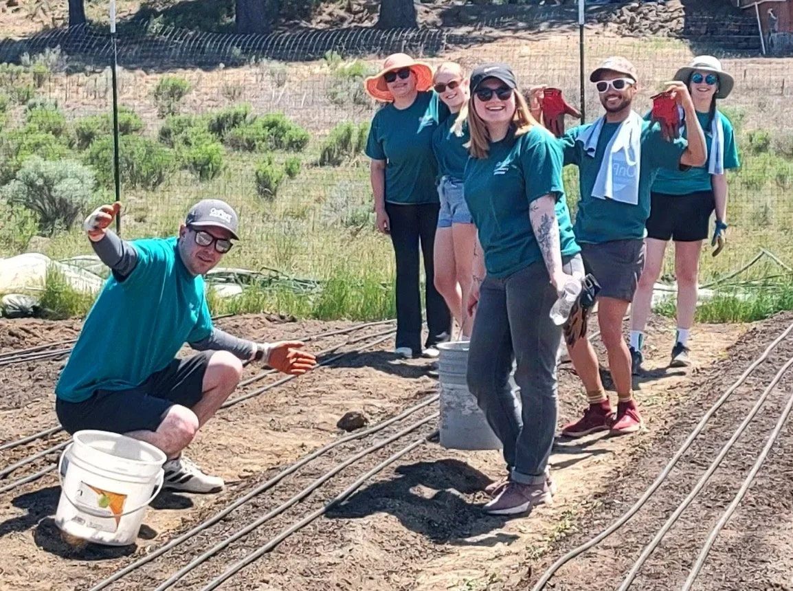 group of volunteers working the land at Around The Bend Farms