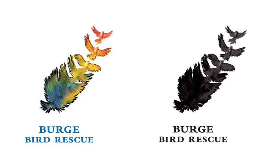 burge-bird-rescue-1.jpg