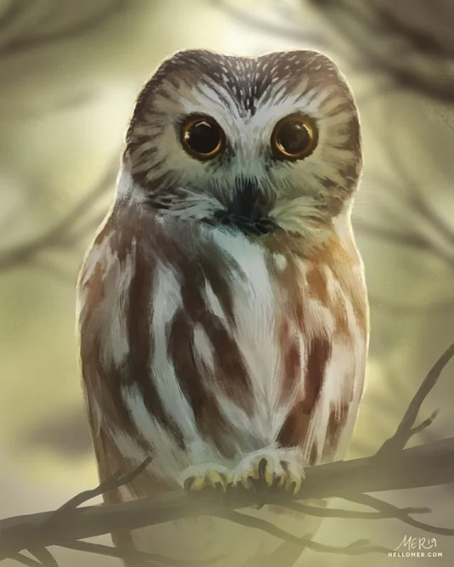 The Saw-whet Owl (or as I call it, teeny bb owl) is named from the &quot;skewing&quot; noise it makes, similar to whetting (sharpening) a saw. Painted this piece for the #BirdWhispererProject for Feb. Based off photo by Andy Reago &amp; Chrissy McCla