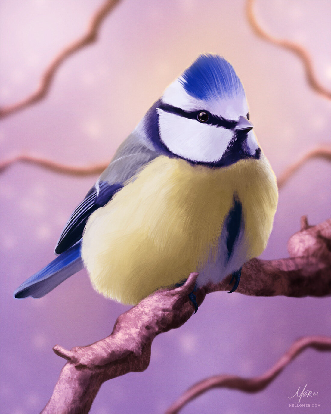 Magic Blue Tit