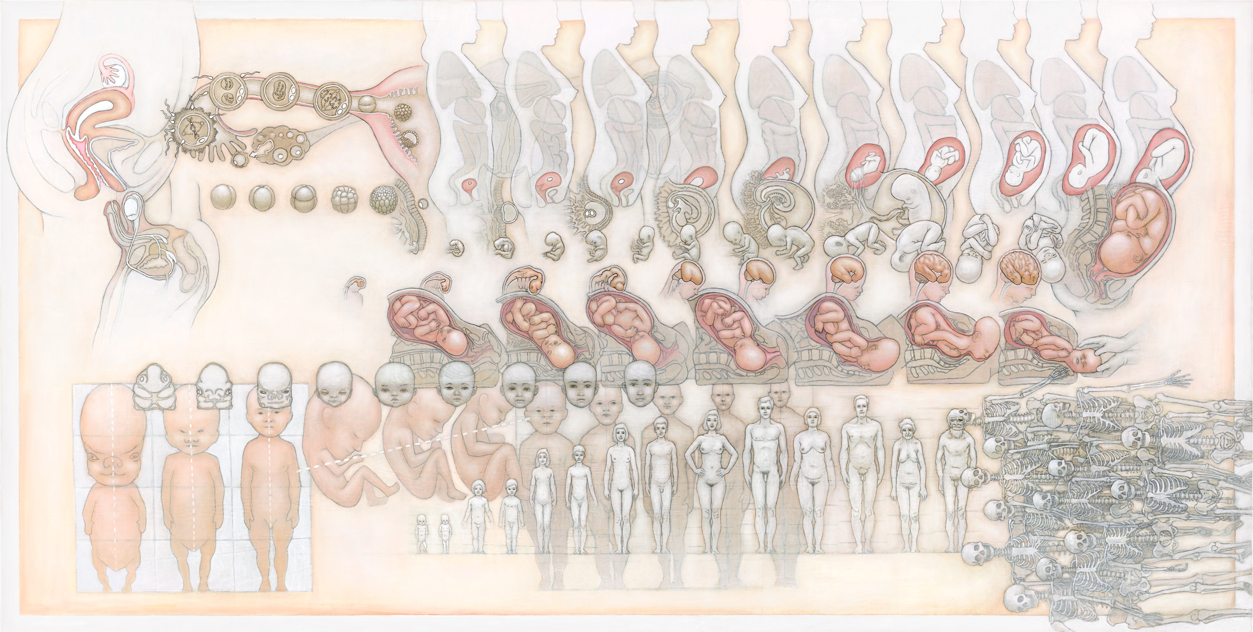 HumanLifeCycle(v-1-3)(2016April).jpg