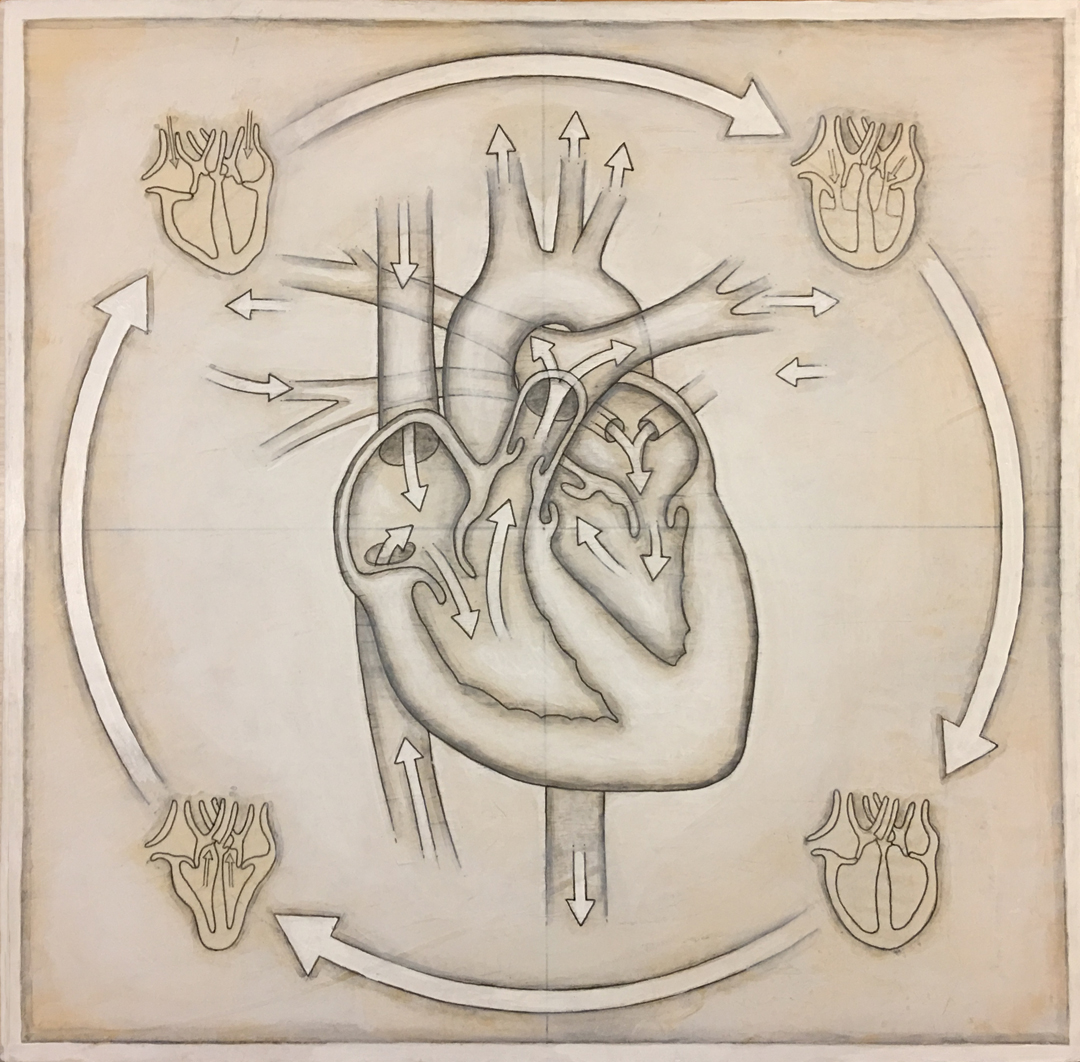 HumanHeart(inprocess-3).jpg