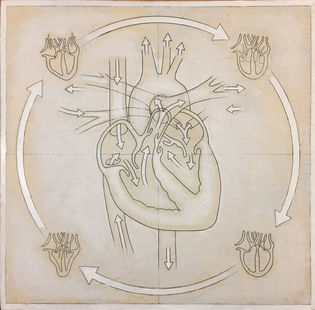 HumanHeart(inprocess-2).jpg