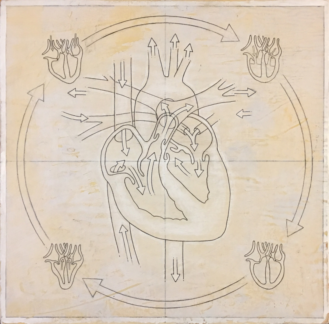 HumanHeart(inprocess-1).jpg