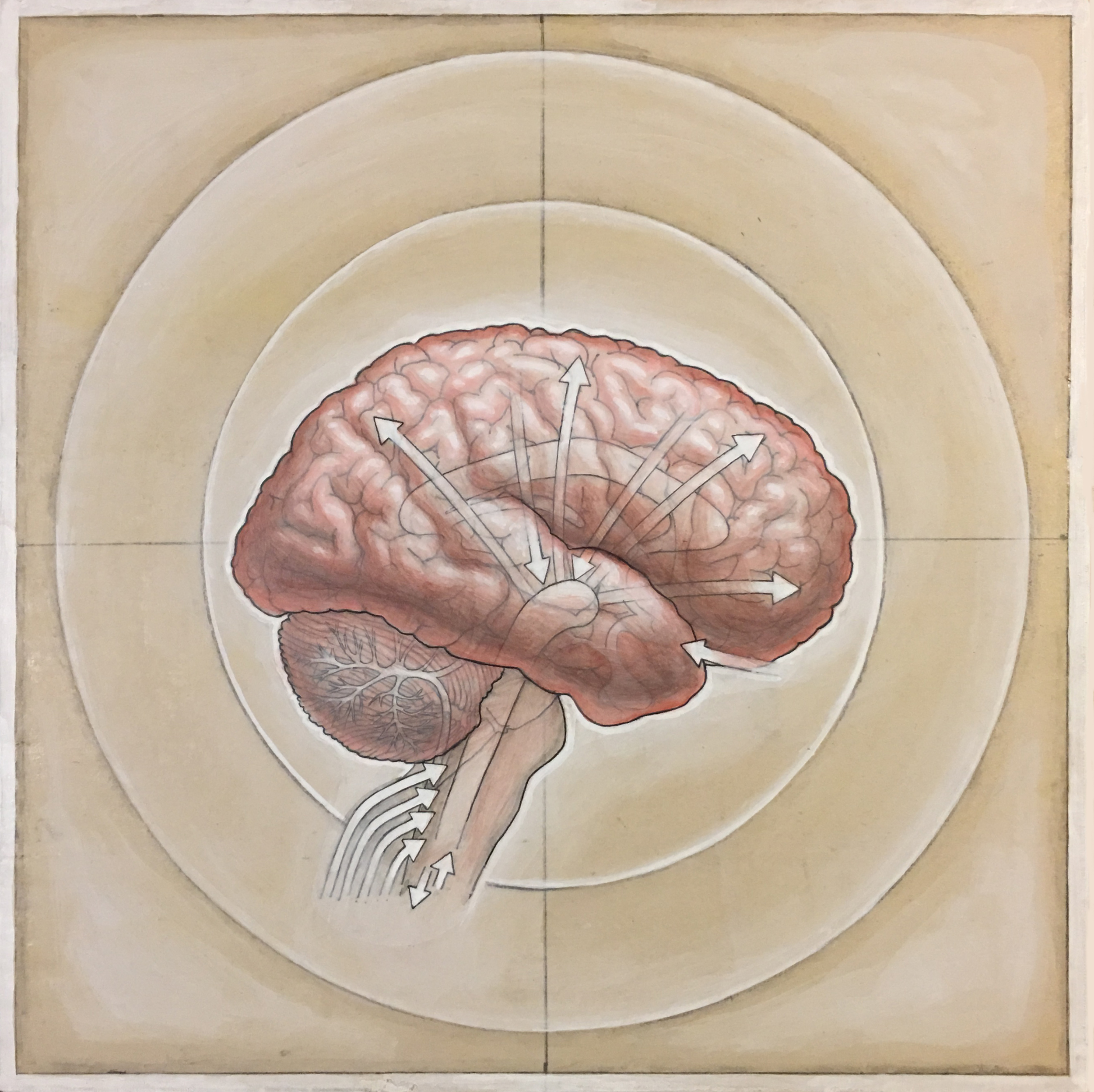 HumanBrain(process-5).jpg