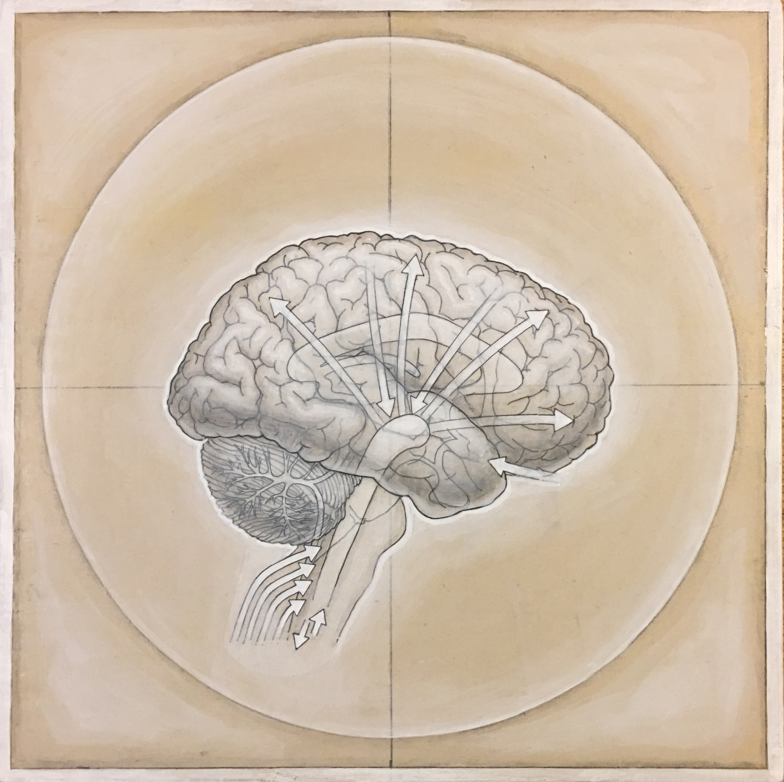 HumanBrain(process-4).jpg