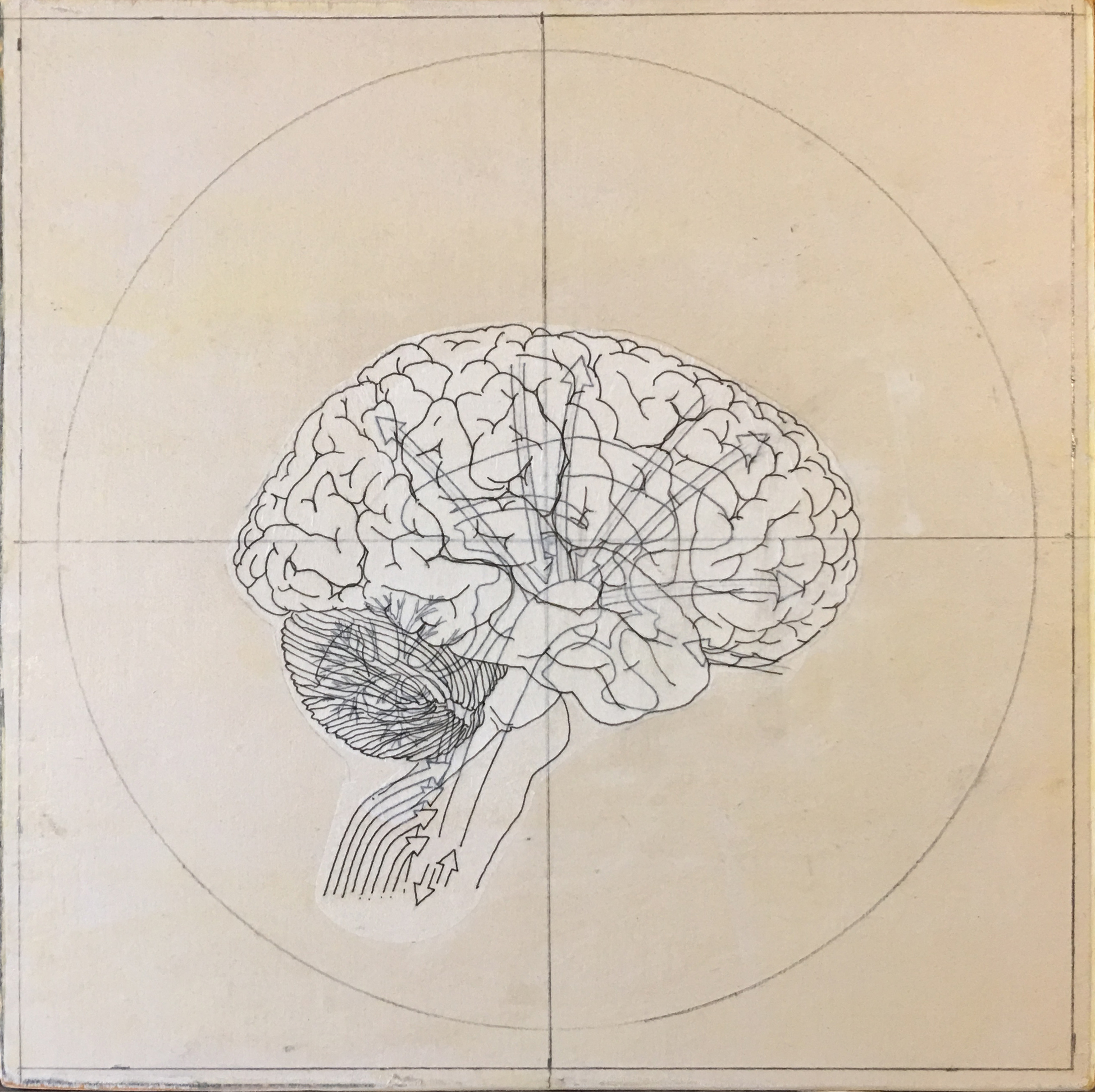 HumanBrain(process-2).jpg