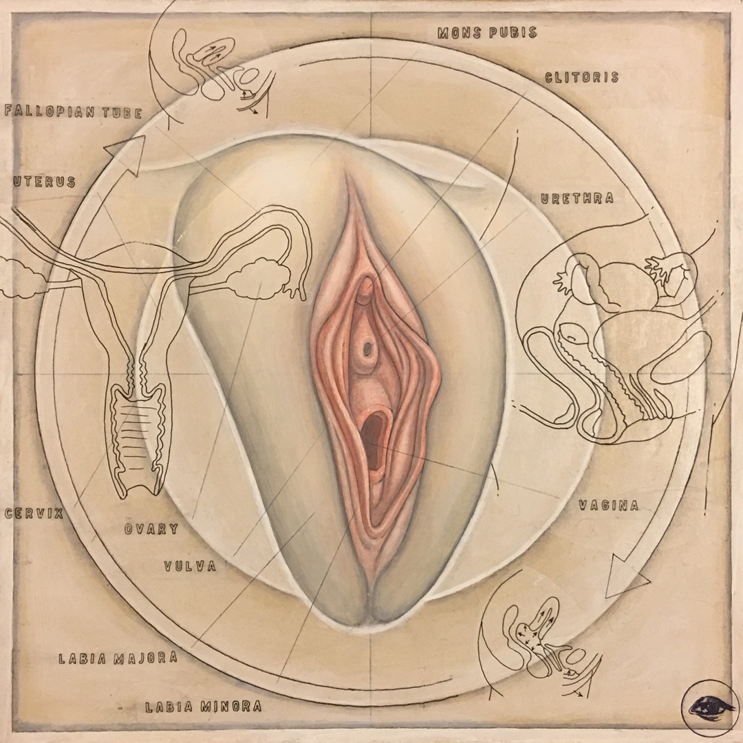 FemaleReproductive-5.jpg