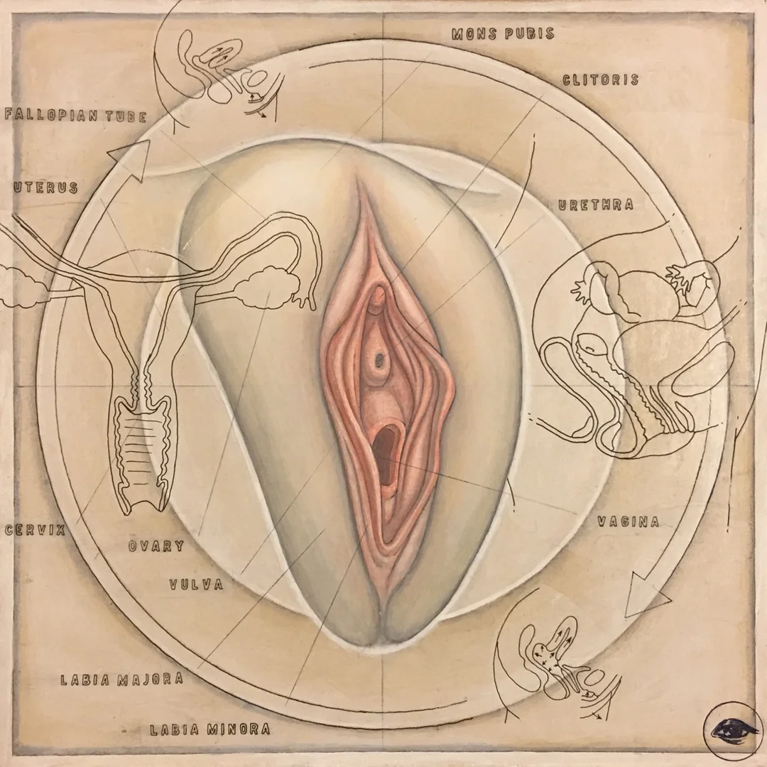 FemaleReproductive-5.jpg