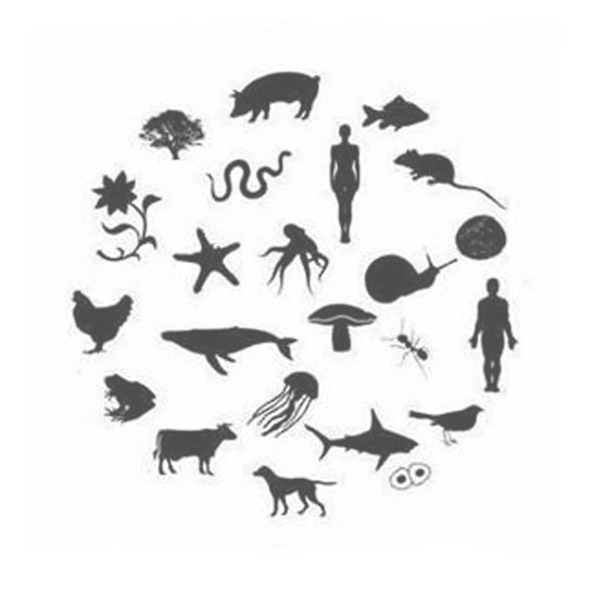 EcoSystem-Eco-Casey-Cripe.jpg