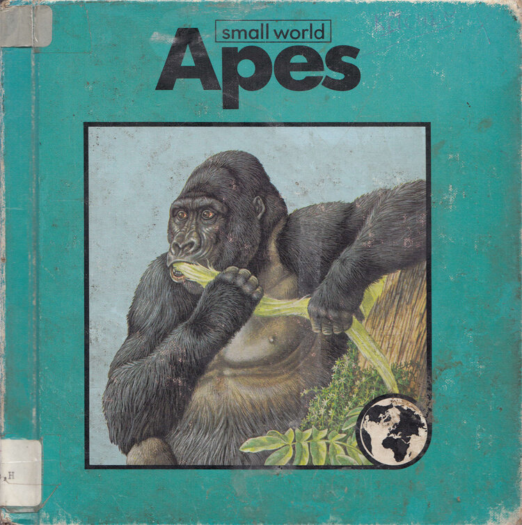 Apes.jpg