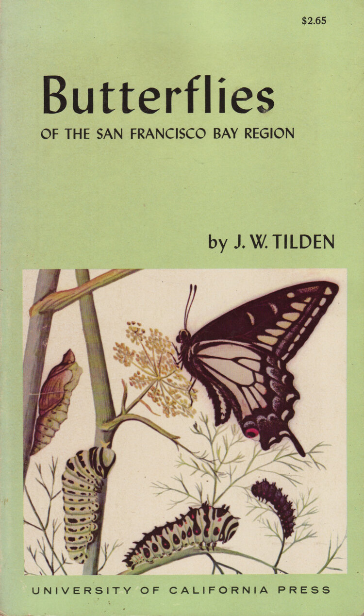 ButterfliesofSanFranciscoBayRegion.jpg